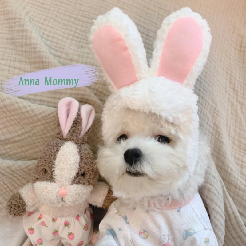 网红宠物猫咪兔耳朵狮子头套兔子猫猫帽子可爱生日圣诞节头饰装扮