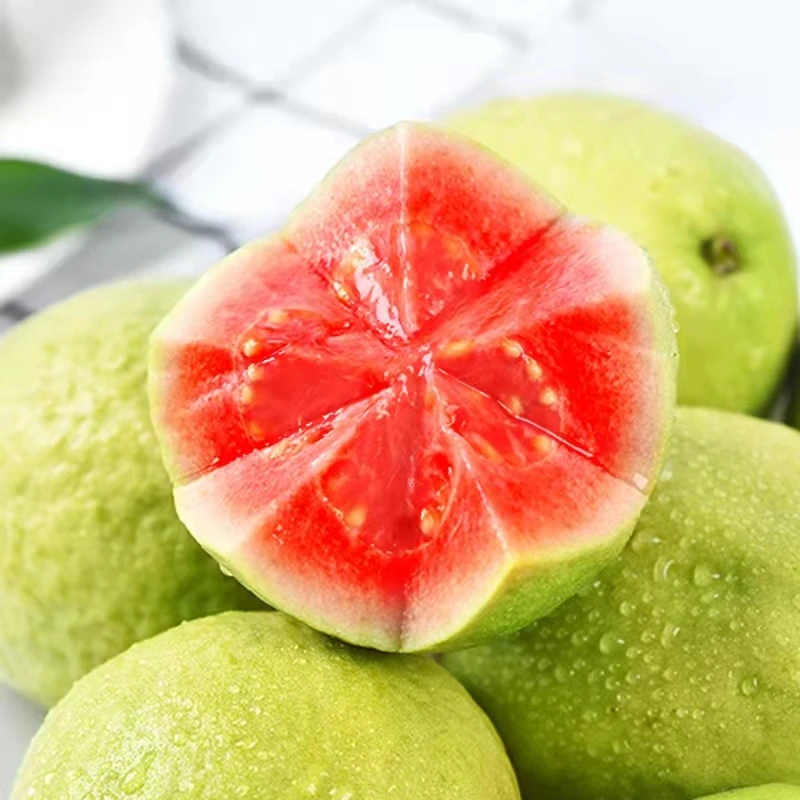 【自然搭档】广西芭乐红心芭乐3斤/5斤新鲜应季水果 坏果包赔tz