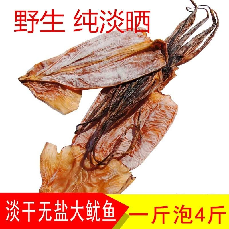 无盐优质鱿鱼干 大号干鱿鱼淡晒无盐个大肉厚 500g