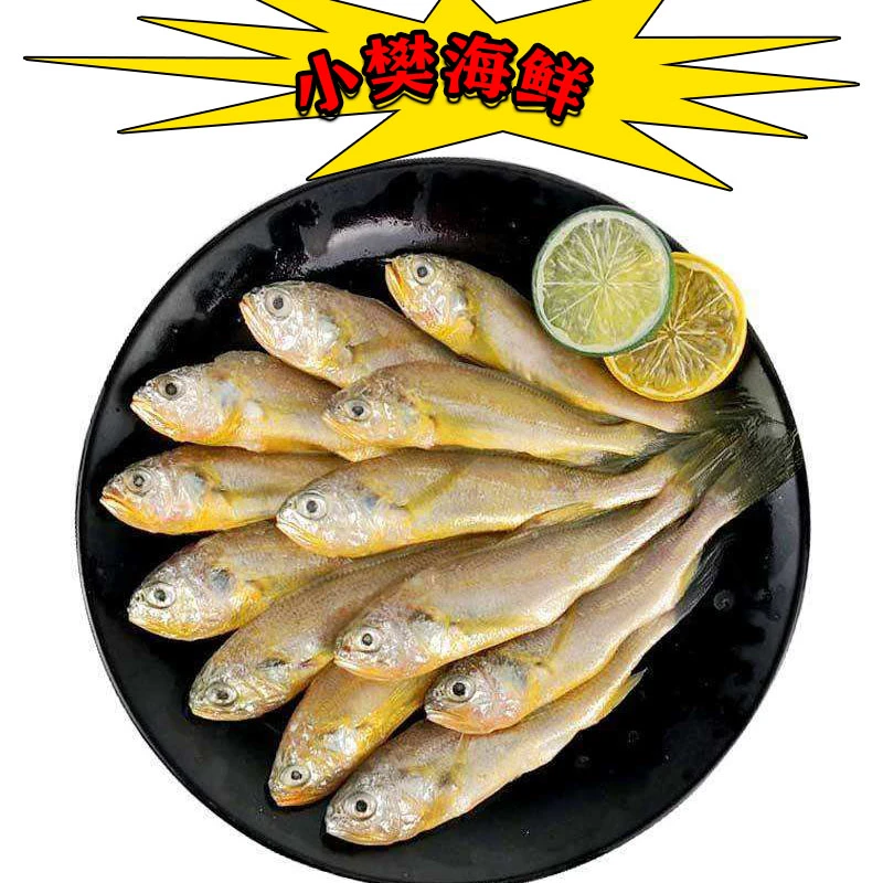 新鲜海捕野生小黄鱼 10斤 无冰衣 急冻 黄花鱼深海红烧美味鲜嫩