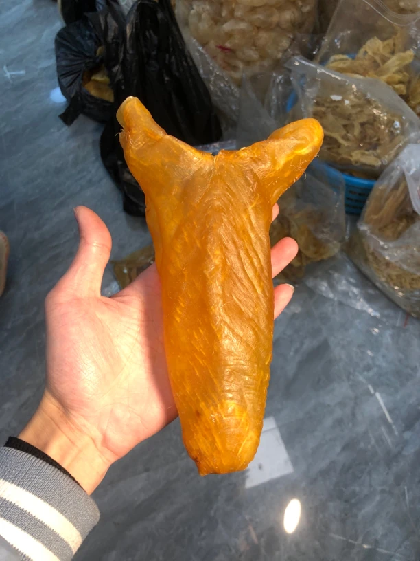 广东黄花筒鱼胶1-500g