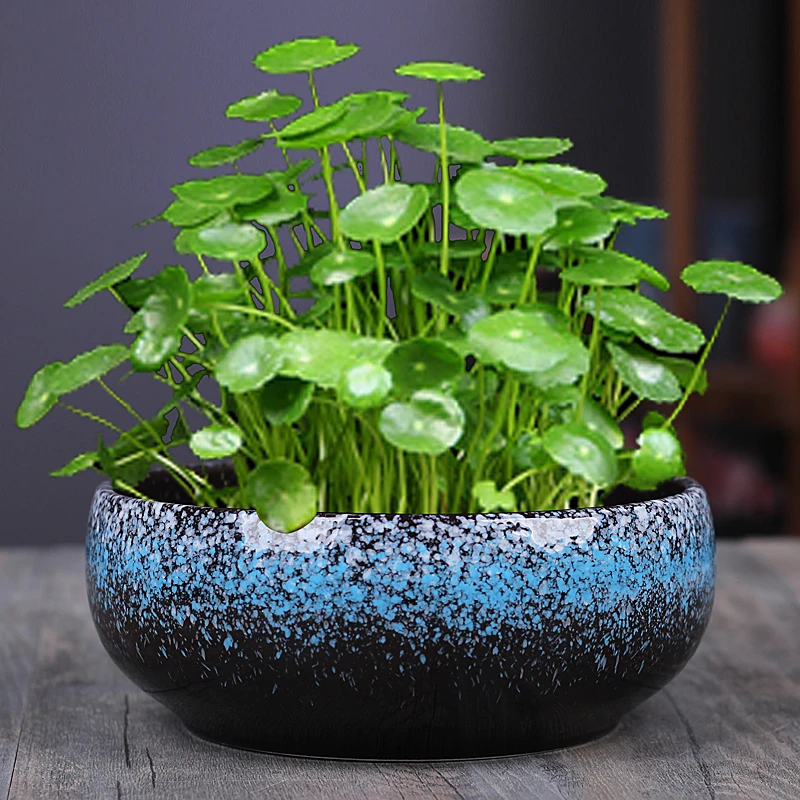 简约大号水仙花盆陶瓷适合阳台一叶莲碗莲盆桌面多肉拼盘水培花盆