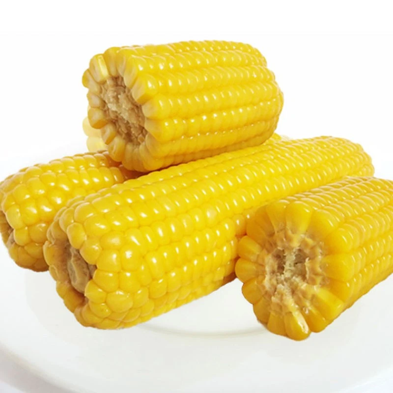粘香糯黄粘玉米种子