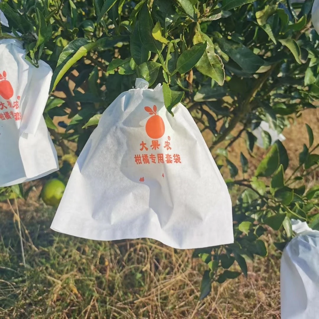 柑橘套袋柑桔耙耙柑不知火春见青剑大雅白色水果套袋果袋枇杷袋