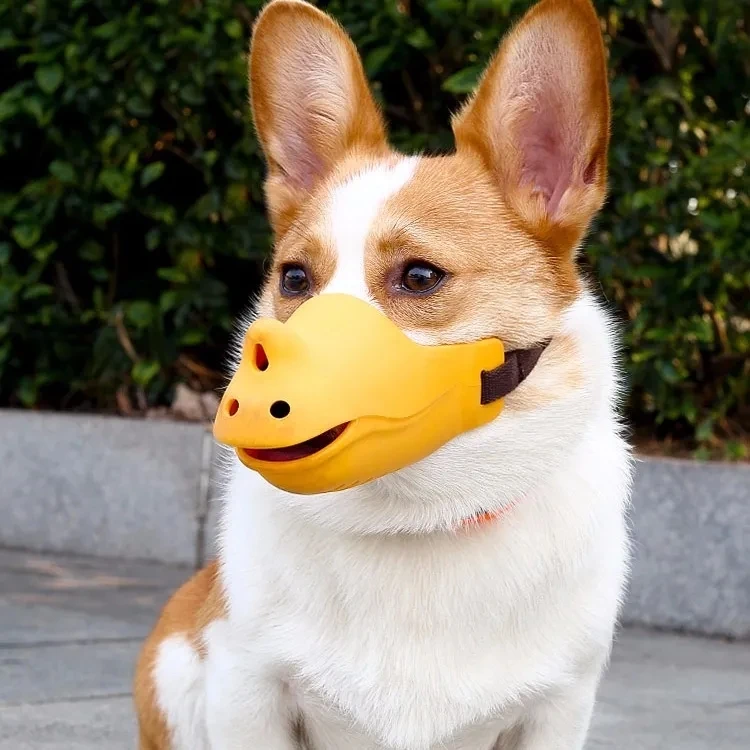 狗嘴套狗狗嘴罩防咬叫乱吃小中大型犬狗口罩金毛狗止吠器宠物嘴套