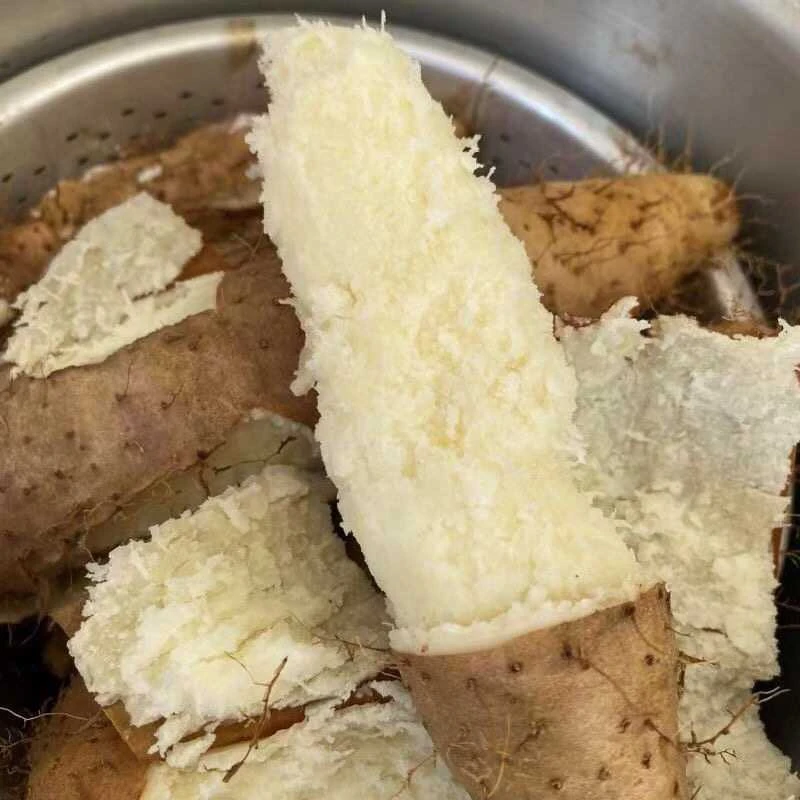 广东农家新鲜毛薯甜薯猪仔薯口感粉香糯回甘肉质细腻3/5斤包邮