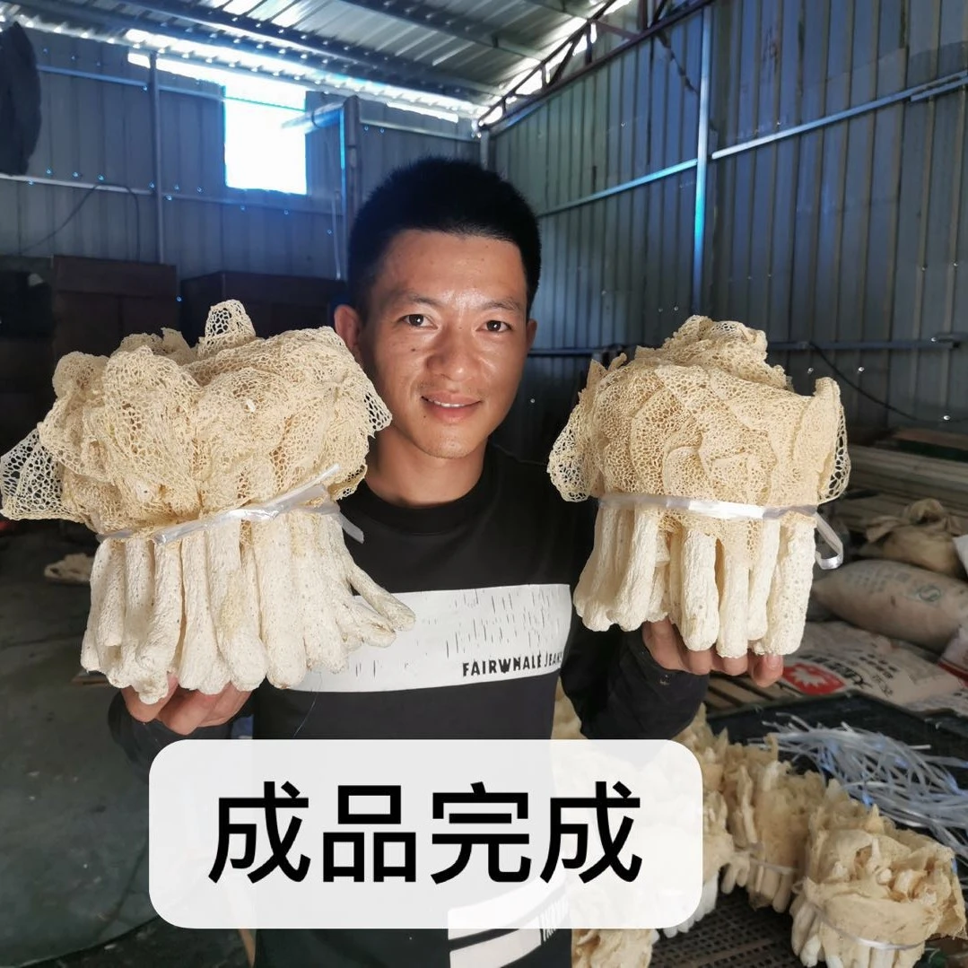 农家竹荪干货 新鲜天然无硫 福建特产竹荪80g