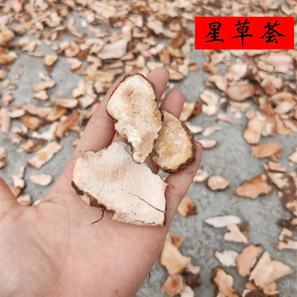 星草荟 野生硬饭头 土 FU 苓  清远深坑土扶岺根茎500克粉质精选