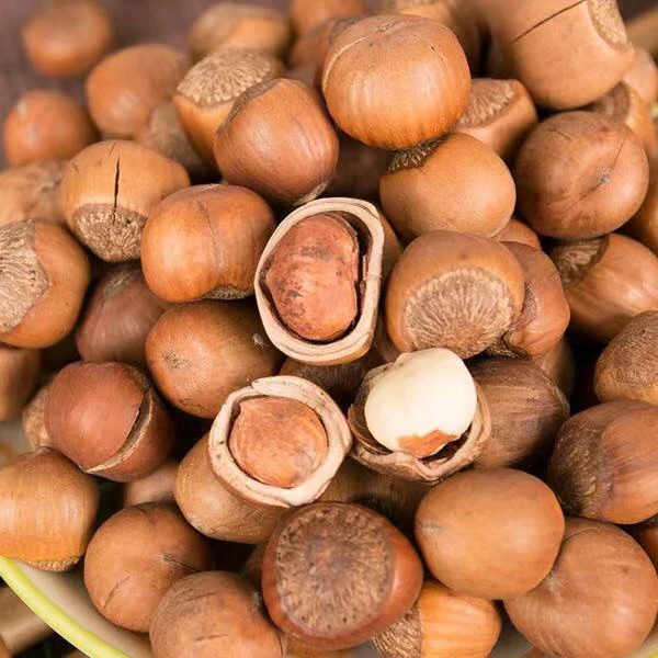 【雅雅果甄选】(密封冷藏保存)榛子2斤，产地铁岭