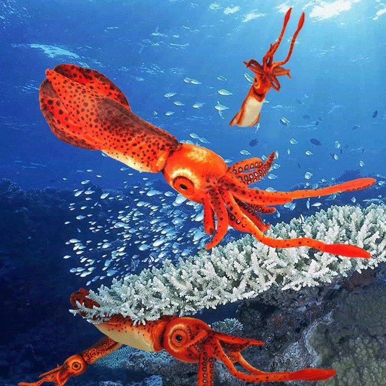 包邮海洋乐园乌贼公仔仿真鱿鱼毛绒玩具睡觉抱枕靠枕生日礼物玩偶