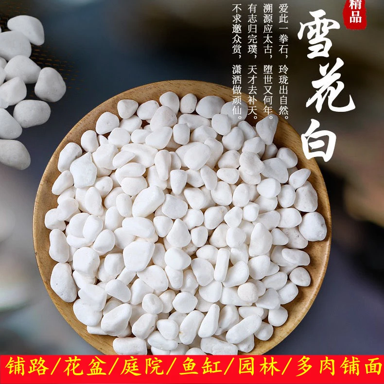 多肉铺面小白石子天然五彩石头花盆植物装饰鱼缸造景别墅铺路用品