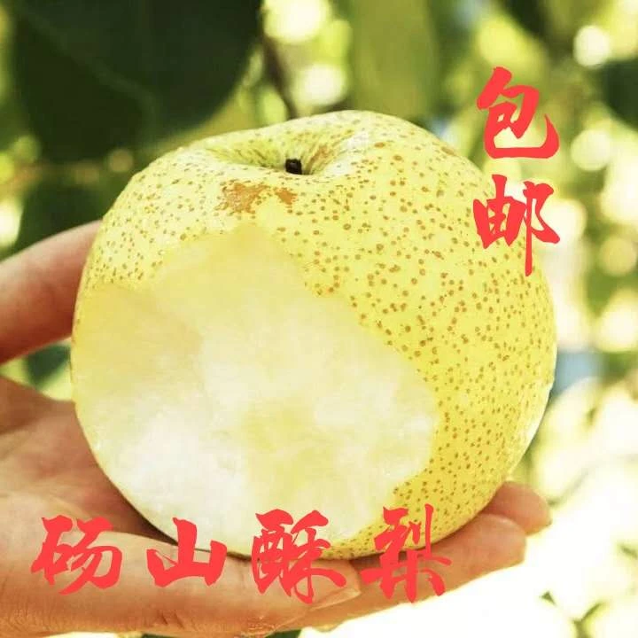 爽口正宗砀山梨10/5/3斤酥脆当季水果包邮香酥梨皇冠梨子脆甜可口