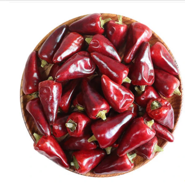 农产品贵州子弹头辣椒100g炒菜增香干红辣椒 中辣特香 干锅辣椒