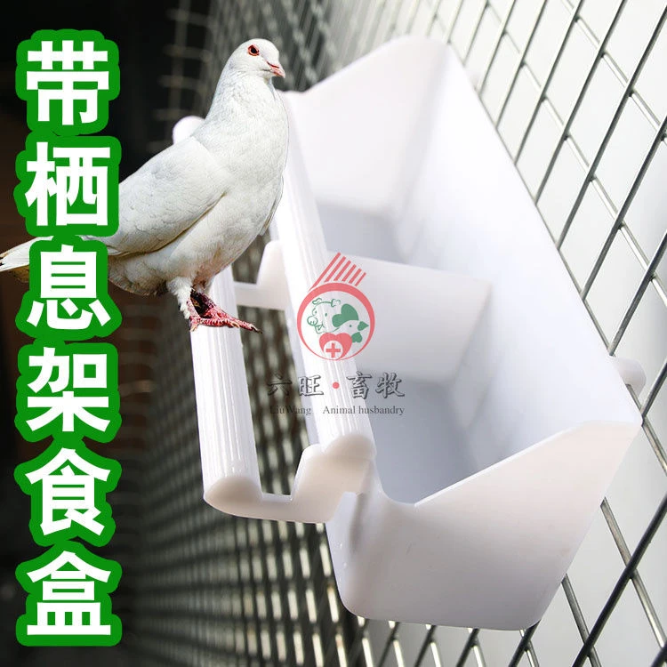 加厚鸟食盒 双食盒鹦鹉喂食器 鸟笼食盒 鸽子八哥水盒防洒防溅