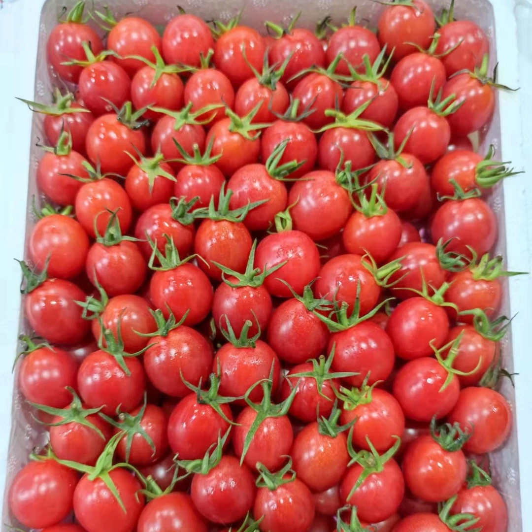 广东铭珠甜心千禧/箱2.5斤左右