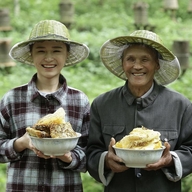 蜂婆子哈哈
