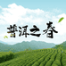 普洱之春