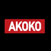 AKOKO喷枪品牌店