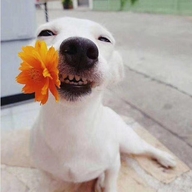 喜乐乐严选小店