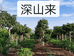 深山来土特产