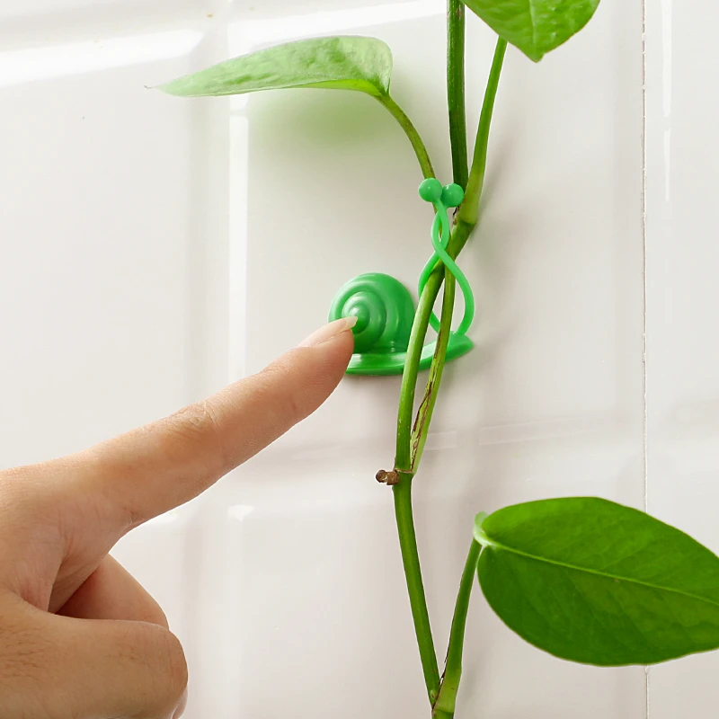 绿萝绿植爬墙固定神器无痕家用扣攀爬室内蔓藤植物墙上挂钩固定夹