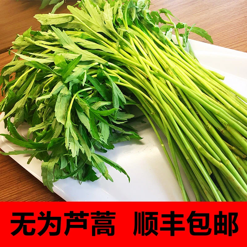 新鲜芦蒿菜驴蒿安徽无为特产新鲜发货500克包邮