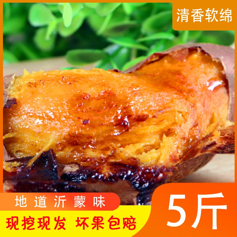 山东特产正宗烟薯25糖心蜜薯流油5斤包邮新鲜现挖红薯番薯5斤包邮