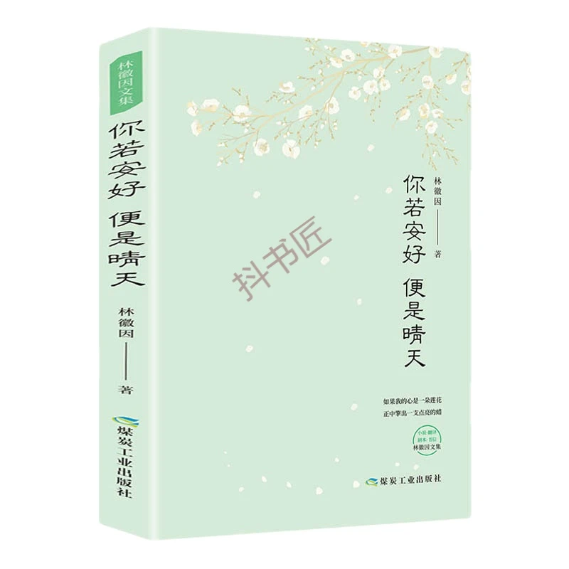 正版 林徽因作品集你若安好便是晴天 林徽因传人物传记 白落梅名