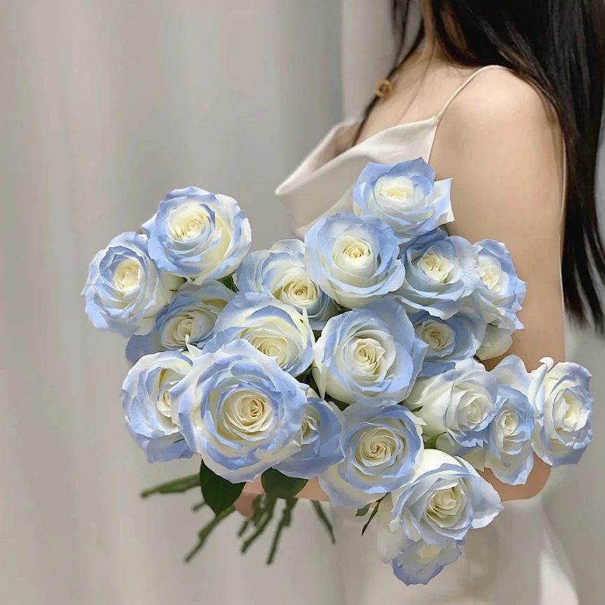 【香玲严选】顺丰AB玫瑰 玫瑰鲜花