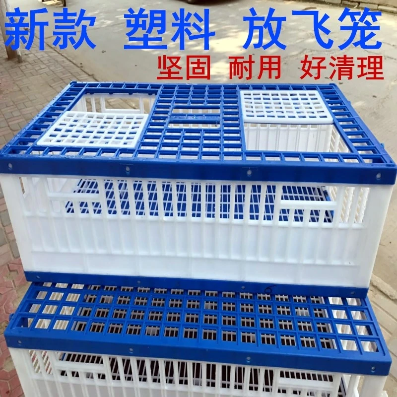 塑料不折叠放飞笼