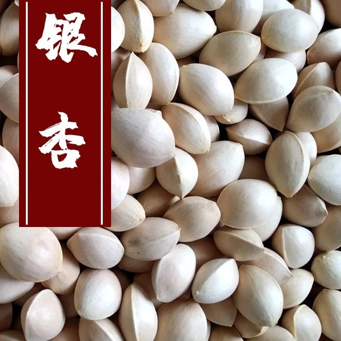 心果新鲜生白果500克农家银杏果鲜白果仁带壳银杏邳州特产无漂白