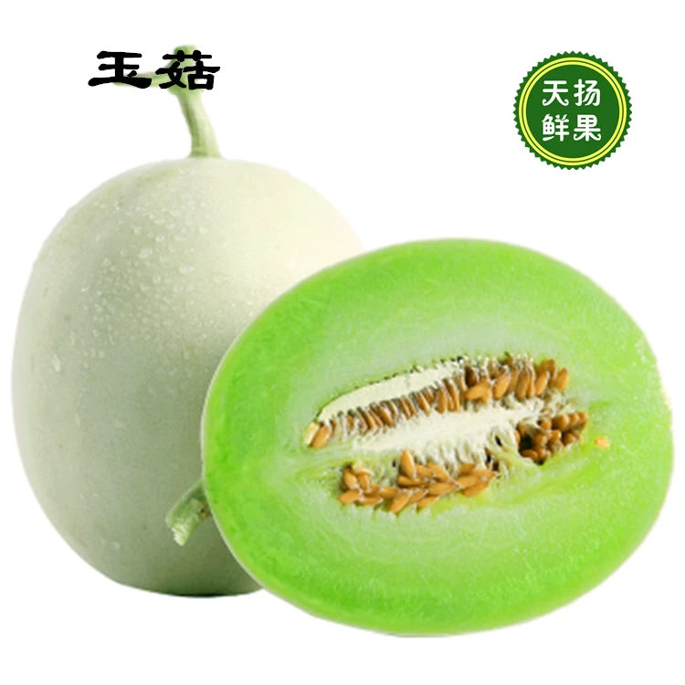 玉菇奶香蜜瓜5个/箱13-14斤