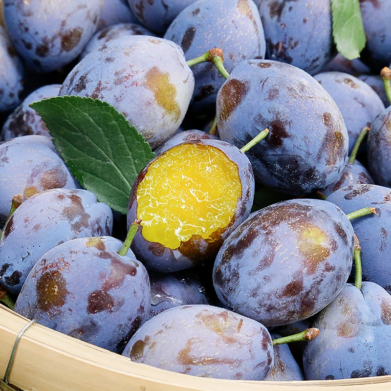 内蒙古2025年现摘西梅纯甜无酸新鲜水果当季3斤