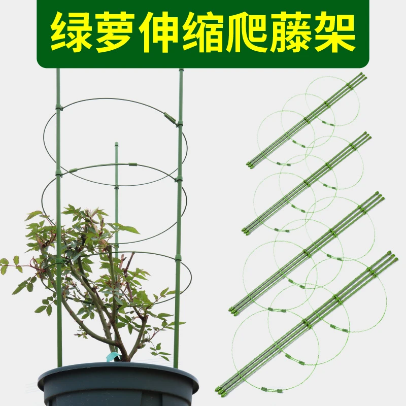 绿萝爬藤杆绿萝花架子室内客厅绿萝架子落地式攀爬架支架爬藤架子