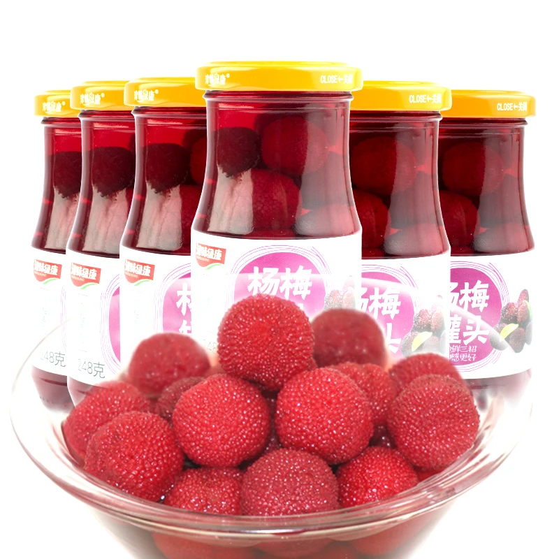 【津味绿康】杨梅水果罐头整箱即食酸甜清爽严选零食新鲜解腻优质