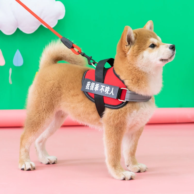 狗狗牵引绳柴犬胸背带背心式大型犬防爆冲项圈宠物牵狗绳