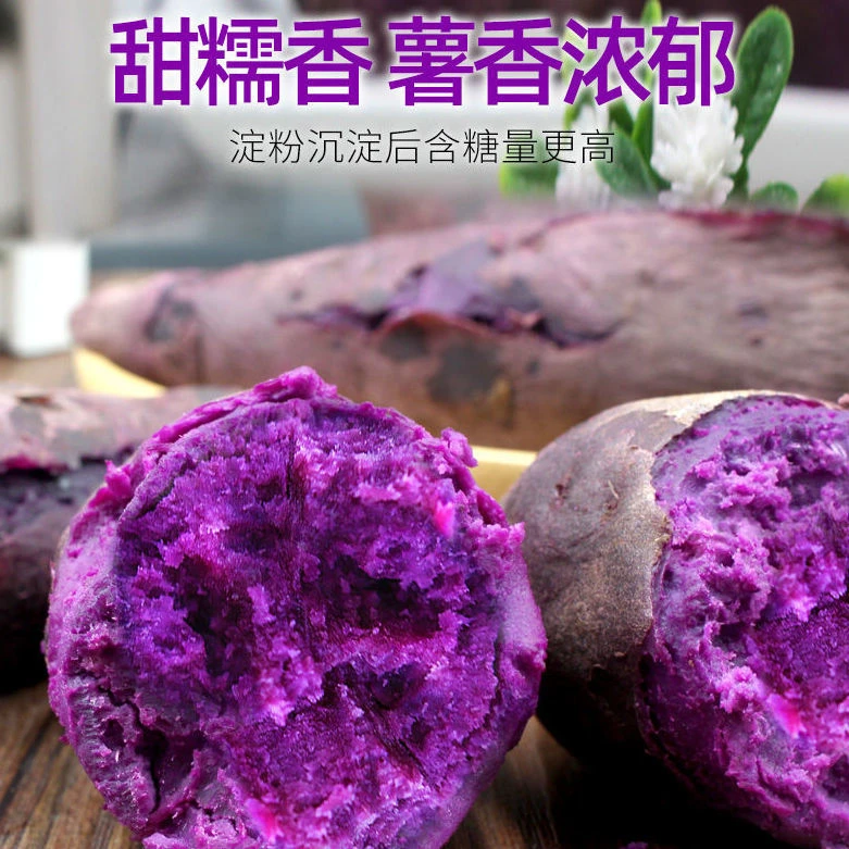 湖北襄阳紫薯番薯紫色红薯早餐粗粮辅食3斤5斤装