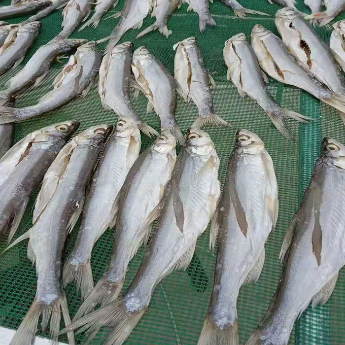 安徽省宣城市南漪湖 阳干开肚参条子（白鱼）500g