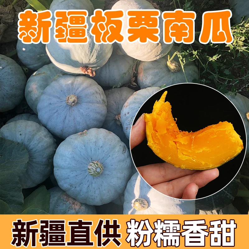 【粉丝专享】精选新疆银板栗老南瓜5斤9斤粉糯香甜代餐辅食南瓜
