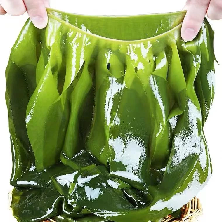 【旅呀嘻】裙带菜3/箱