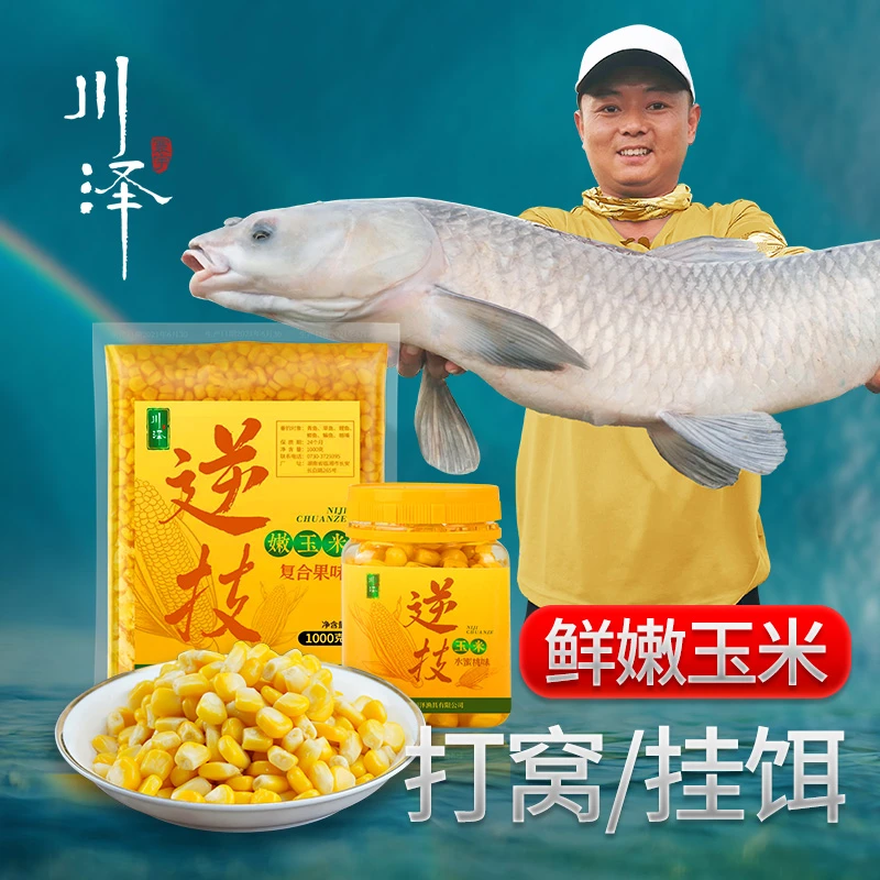 川泽嫩玉米饵料窝料野钓打窝玉米粒钓饵鲤鱼翘嘴鳊鱼草鱼专用饵料