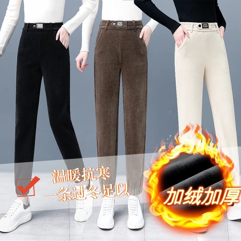 加绒加厚雪尼尔裤子秋冬2024新款女裤休闲哈伦小脚裤外穿保暖冬季