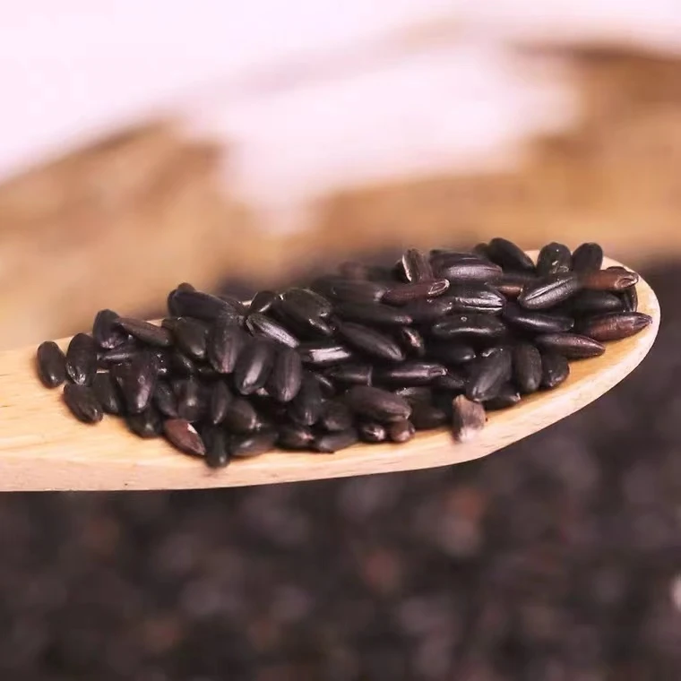 东北黑香米5斤【2024新米上市】