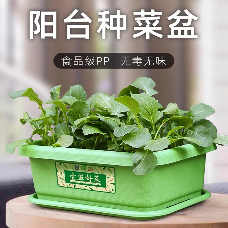 阳台种菜盆巨划算蔬菜种植专用盆