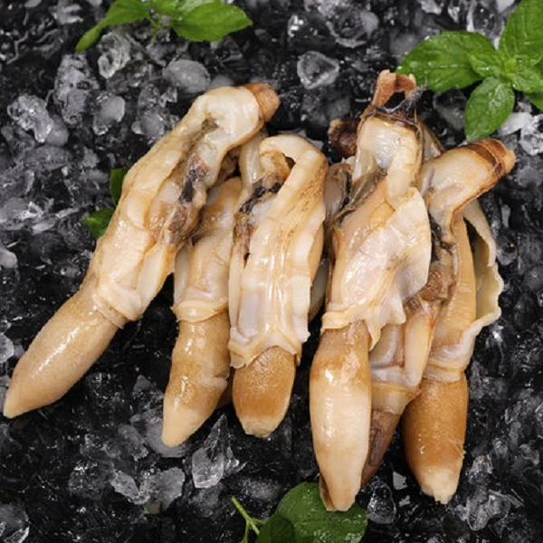 连云港发货o新鲜蛏王肉 冷冻海鲜 200g/包*12包