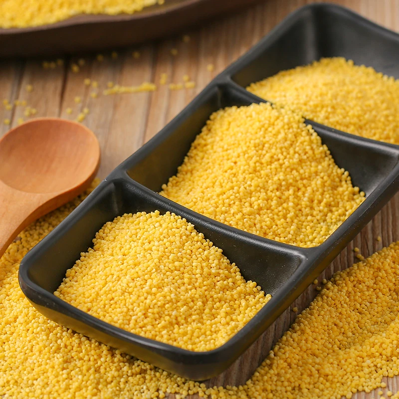 五常黄小米5斤/2斤/1斤米油丰厚五谷杂粮食用米粗粮小米粥粘稠
