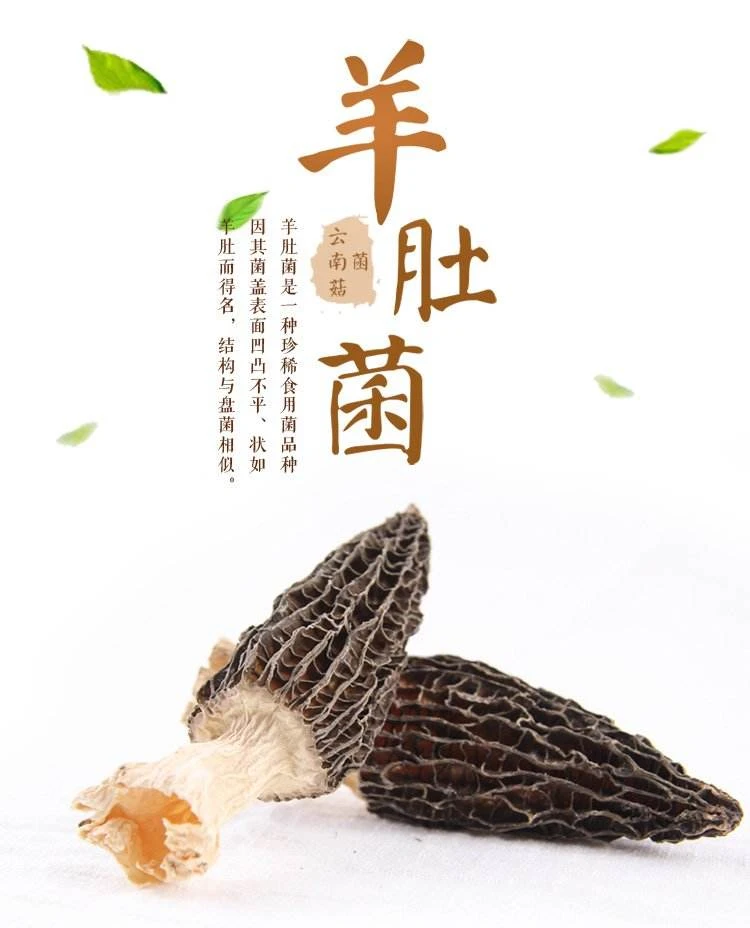 精品干羊肚菌30g包邮酒店食用菌食材专用,营养价值丰富口感好