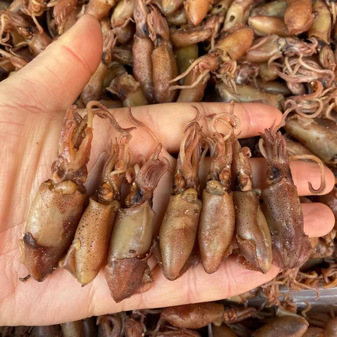 【京东顺丰发货】山东渤海湾小海兔非笔管乌贼籽乌2斤3斤4斤