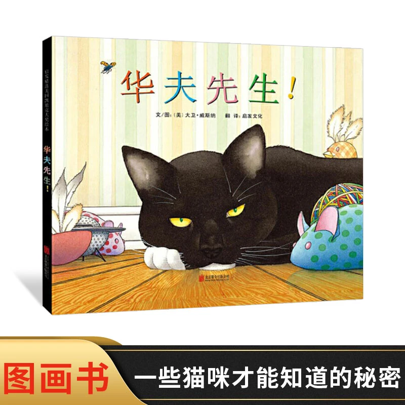 华夫先生硬壳精装图画书启发精选美国凯迪克大奖作品趣味猫咪绘本