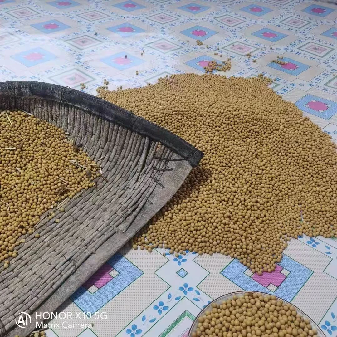 九策九策东北非转基因黄豆2.5kg